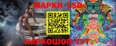 сатива Аргун
