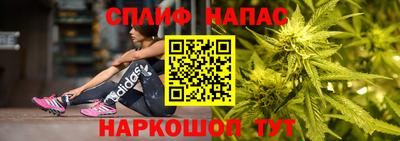 сатива Аргун