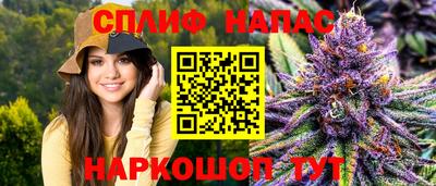 мяу мяу мука Апшеронск