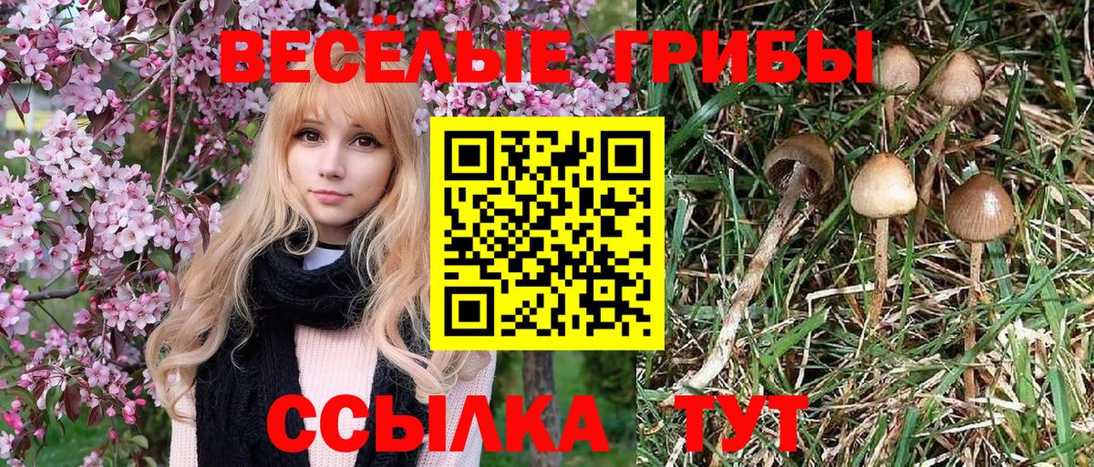 Артём  Псилоцибиновые грибы мицелий  Вход с VPN  как найти наркотики  Псилоцибиновые грибы MAGIC MUSHROOMS 