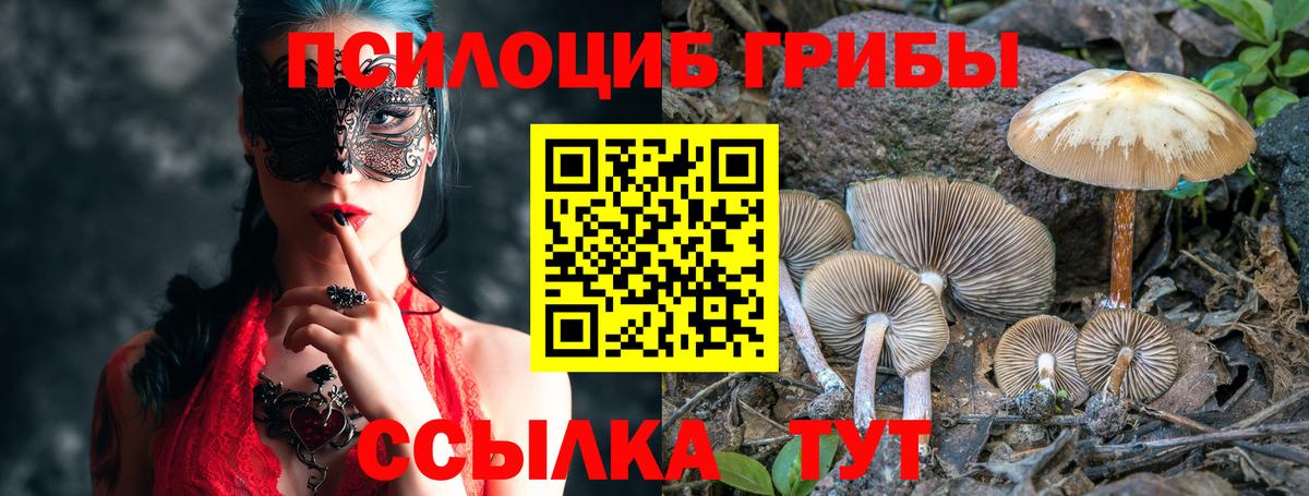 Псилоцибиновые грибы прущие грибы Артём